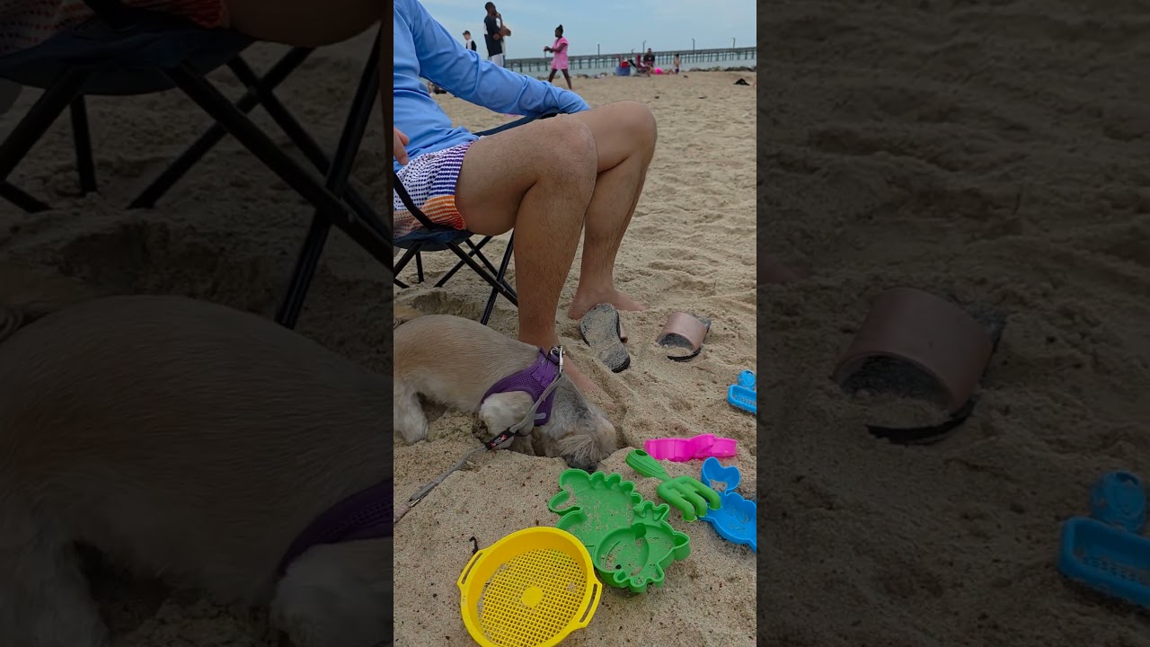 Whos had the most fun! 