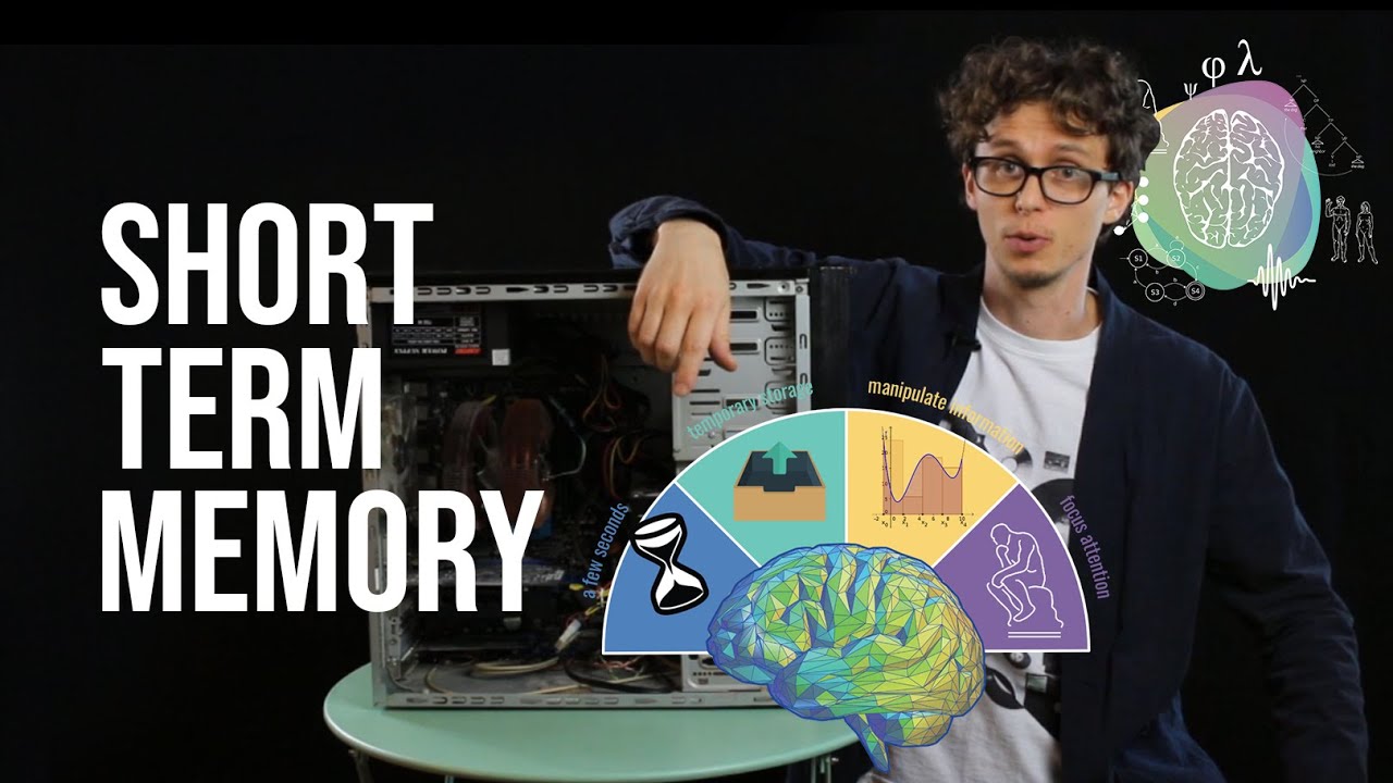 Short Term Memory