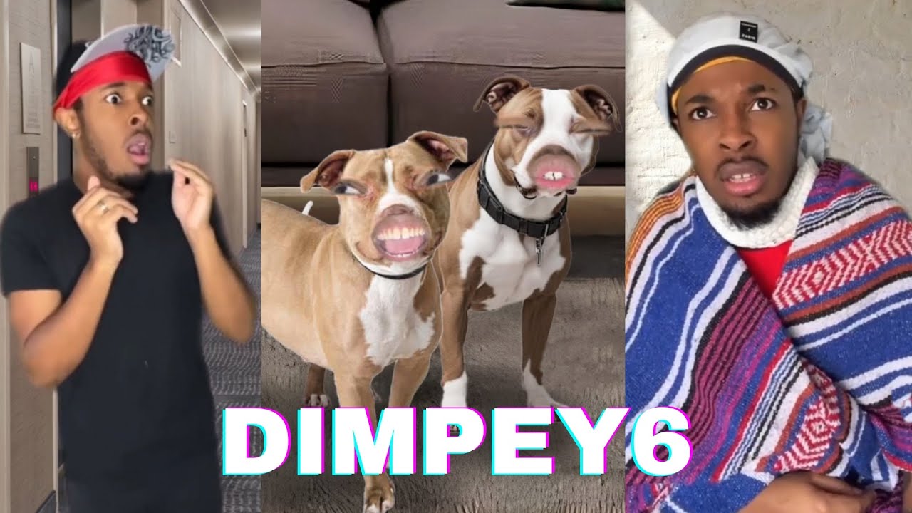 *2+ Hour* Best Dimpey6 Funny TikTok Videos | Dimpey6 Shorts Videos - Shorts Comps