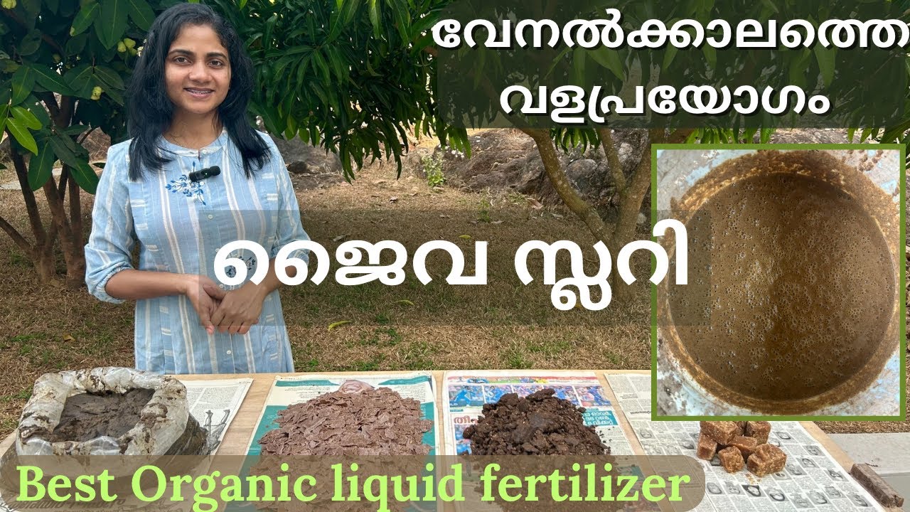Best Organic fertilizer | Jaiva slurry | Liquid fertilizer | Biofertilizer | Malayalam 
