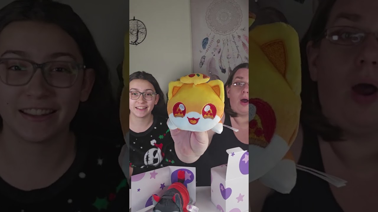Aphmau MeeMeow Mystery Plush Unboxing! Will it be the same mystery plush? 