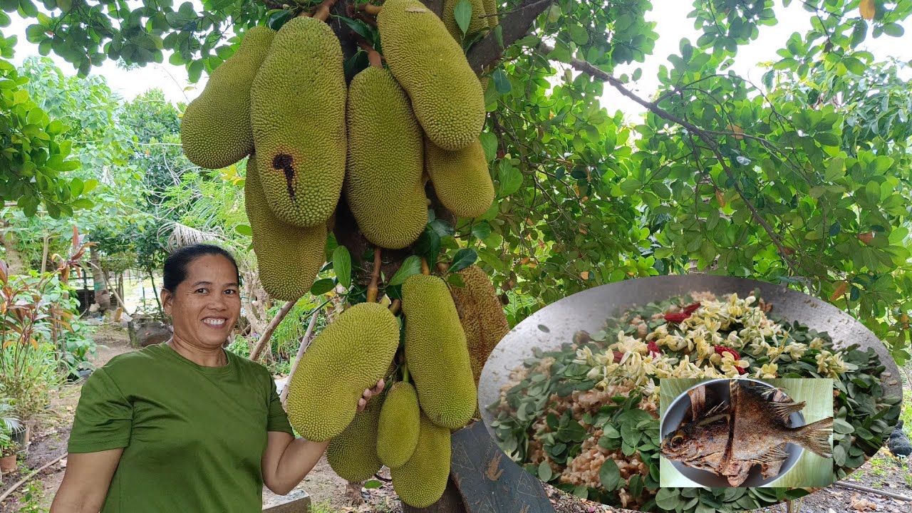 Ginataang Langka with Malunggay