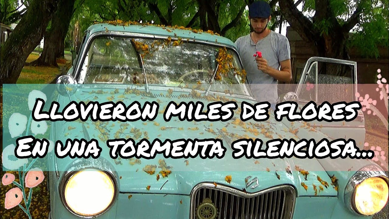 La Lluvia de flores -  Realismo mágico 