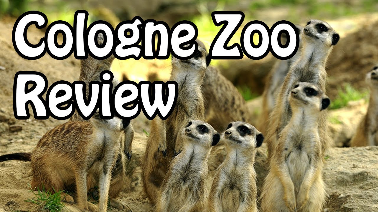 Cologne Zoo Review