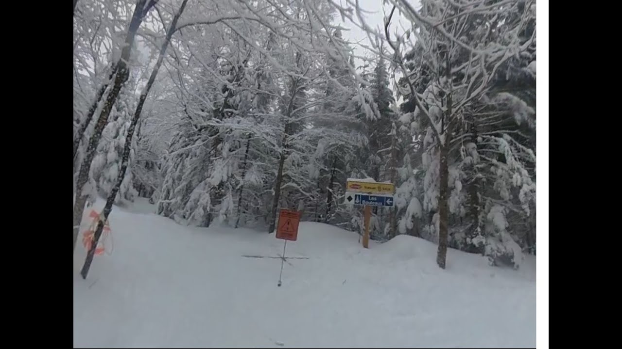 Les Bouleaux Glades to Laurentienne, Mont Tremblant