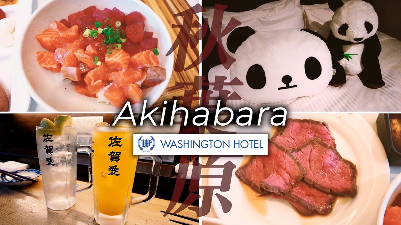 海鮮丼とローストビーフが食べ放題🥩 可愛いパンダルームに宿泊🐼〈秋葉原ワシントンホテル〉