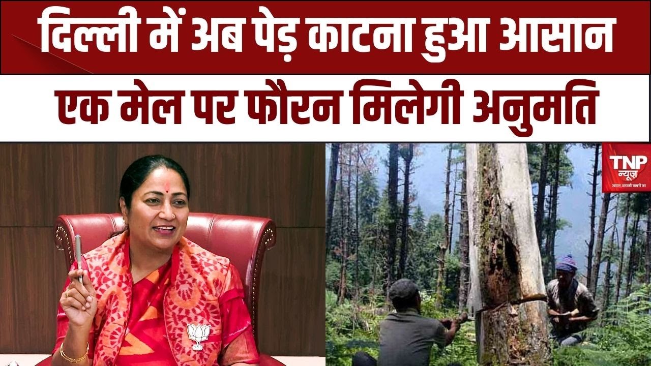 Delhi Tree Cutting : दिल्ली में अब पेड़ काटना हुआ आसान, एक मेल पर फौरन मिलेगी अनुमति