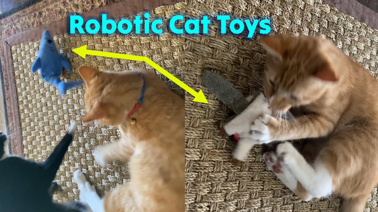 3 Super Cool Robotic Cat Toys Tested (Shark, Owl, Flying Squirrel) 🐈 Gadgetify