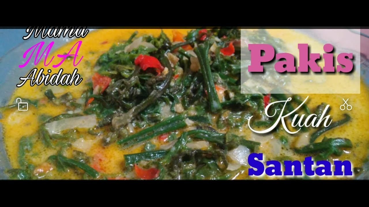 Masakan sehari hari sayur pakis