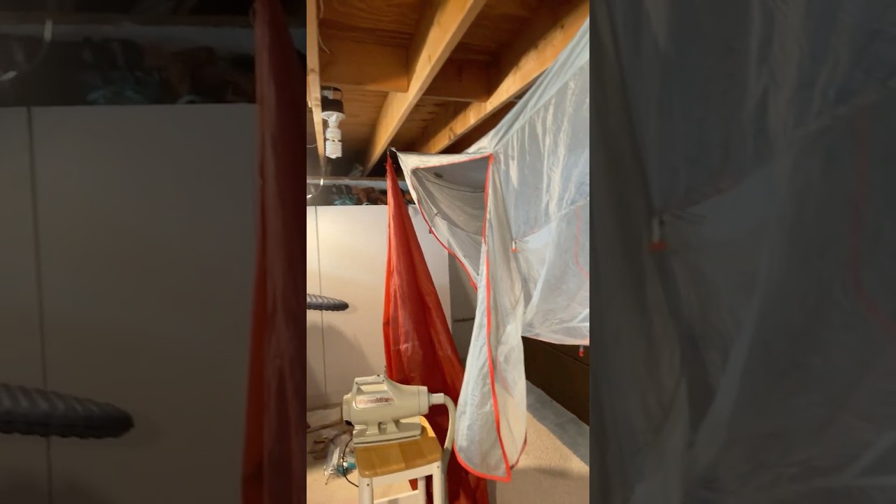 Drying and cleaning your tent after a backpacking trip.