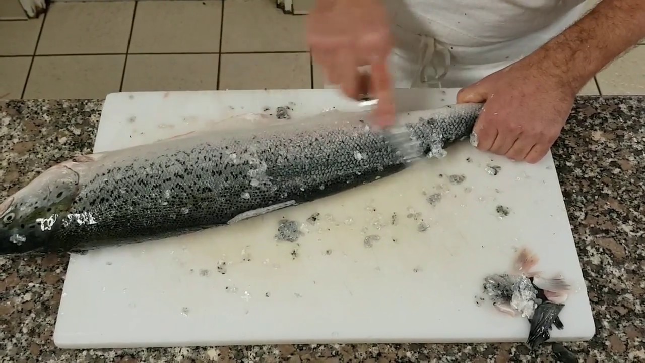habillage et filetage d'un saumon ou poisson rond