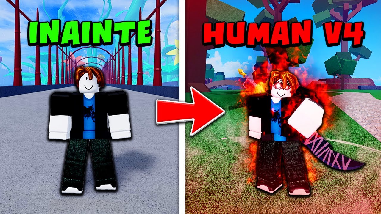 Am deblocat HUMAN V4 Awaken intr-un singur Video (Blox Fruits Roblox)