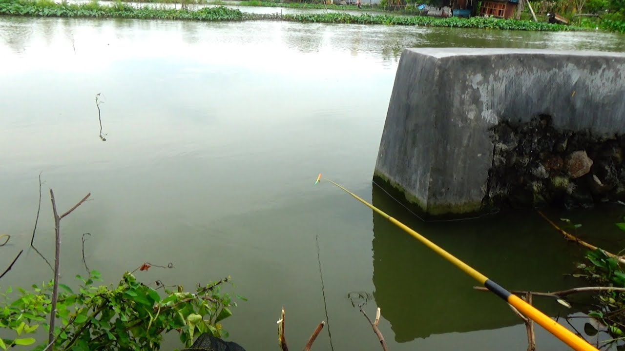 Edan....! Mancing disamping jembatan MENGANTI sampai strike ikan bertubi-tubi