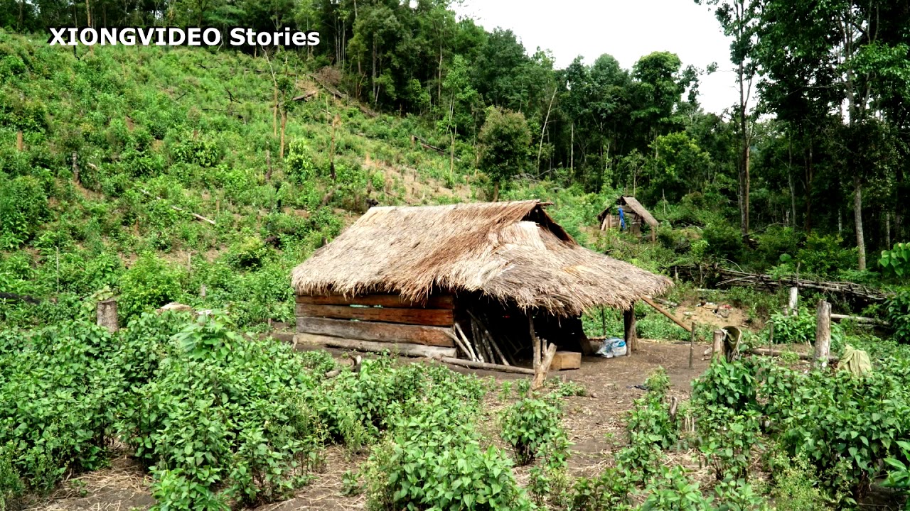 NPLOG RAUG NAB LOJ TOM Jun/12/2020