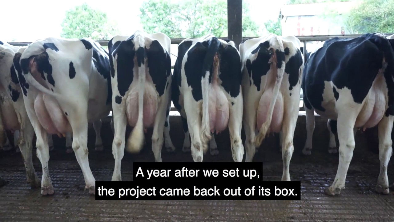 Rear Window - Zone &agrave;&nbsp;D&eacute;fendre (Zone to Defend)