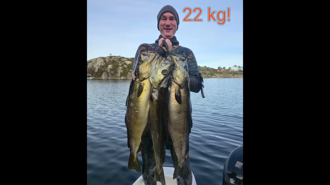 Store bølger, stor fisk!