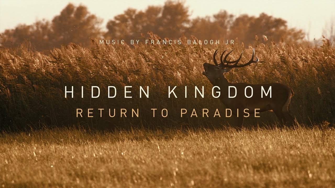 Hidden Kingdom | Ifj. Balogh Ferenc | Return to Paradise (OST of 'On the Wings of Dawn' documentary)