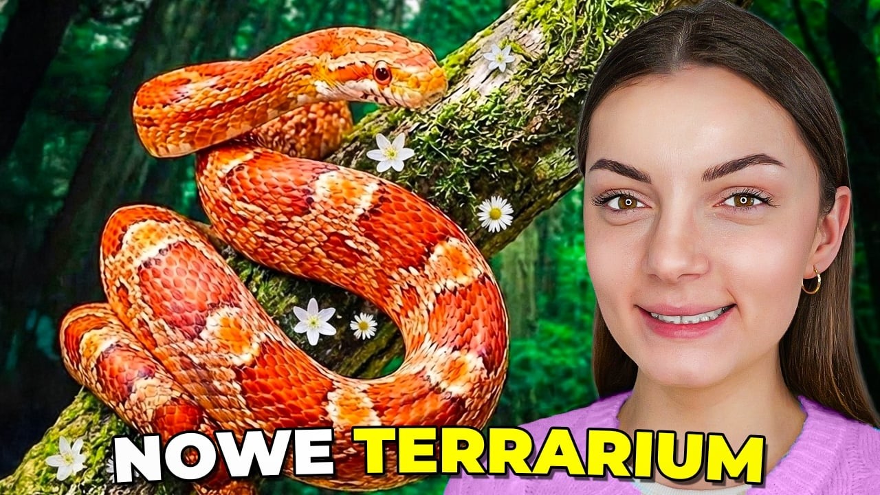 NOWE TERRARIUM DLA NASZEGO WĘŻA 🐍🌷