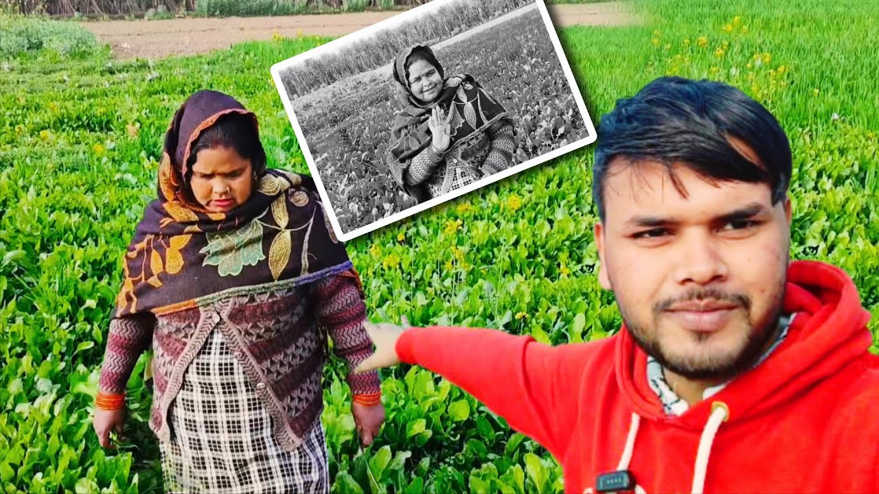 Jungal Se Palak Laaya 😱 lMammy Ki Sabji l Desi Vlogs.. 