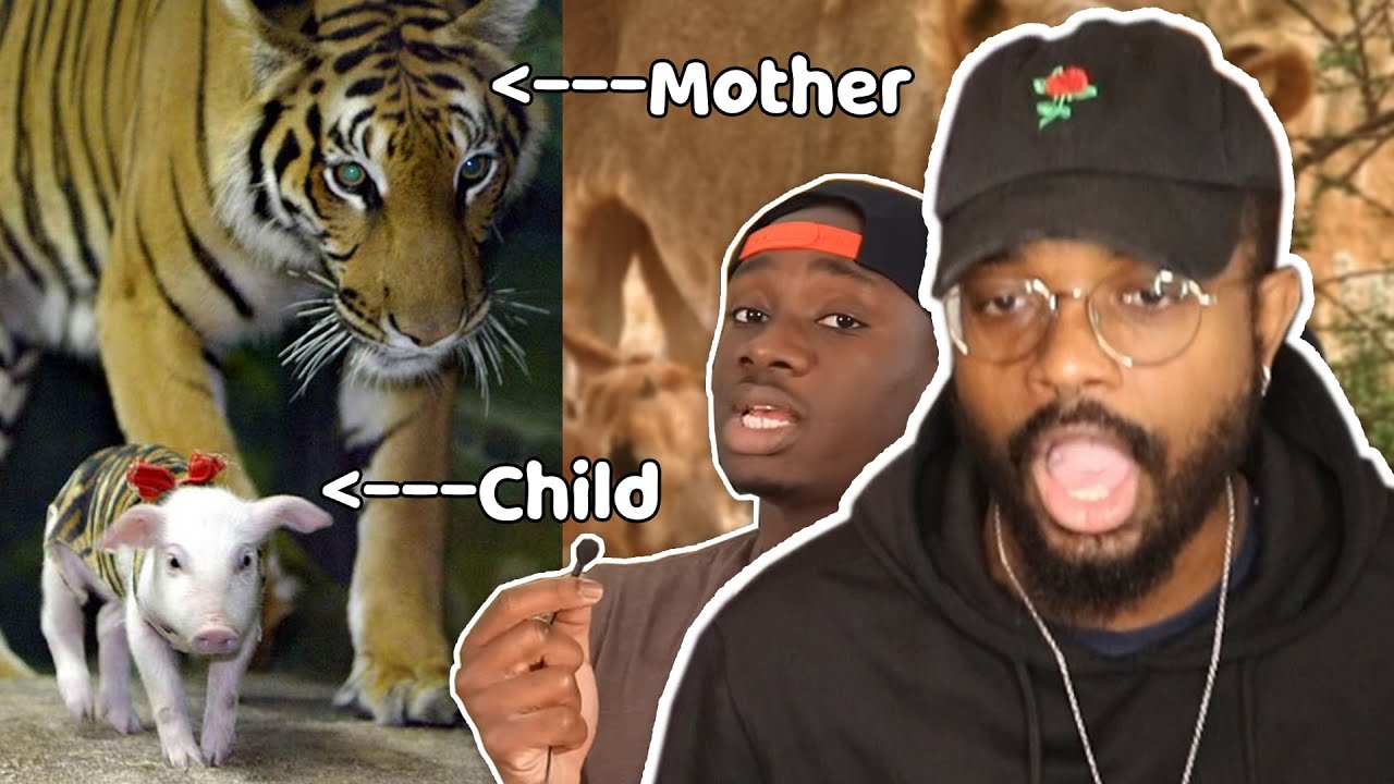 HOW IS THIS POSSIBLE?! 😱🤯| When Cats Break the Rules of Nature | Casual Geographic - REACTION!