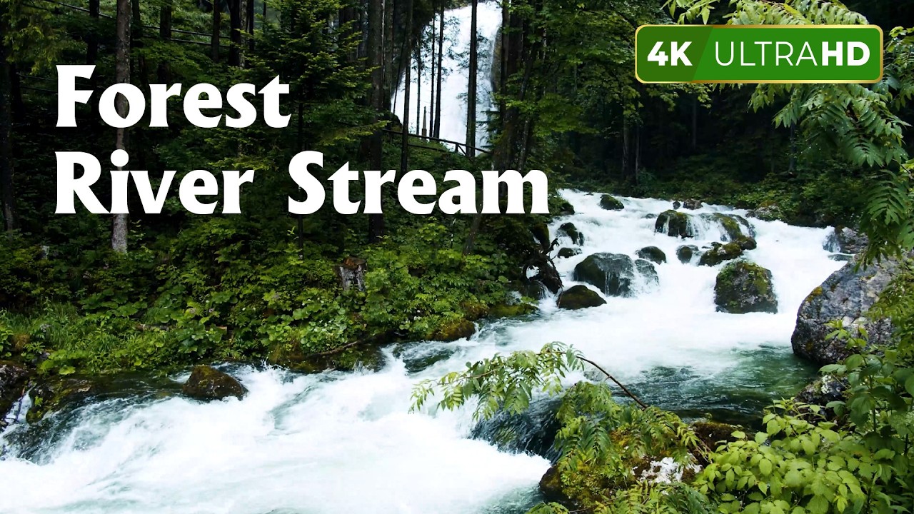 Forest River Stream | Relaxing Music For Stress Relief, Anxiety • Heal Mind, Body and Soul
