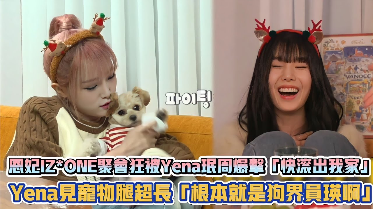 恩妃IZ*ONE聚會狂被Yena珉周爆擊「快滾出我家」 Yena見寵物腿超長「根本就是狗界員瑛啊」| [K-潮流]