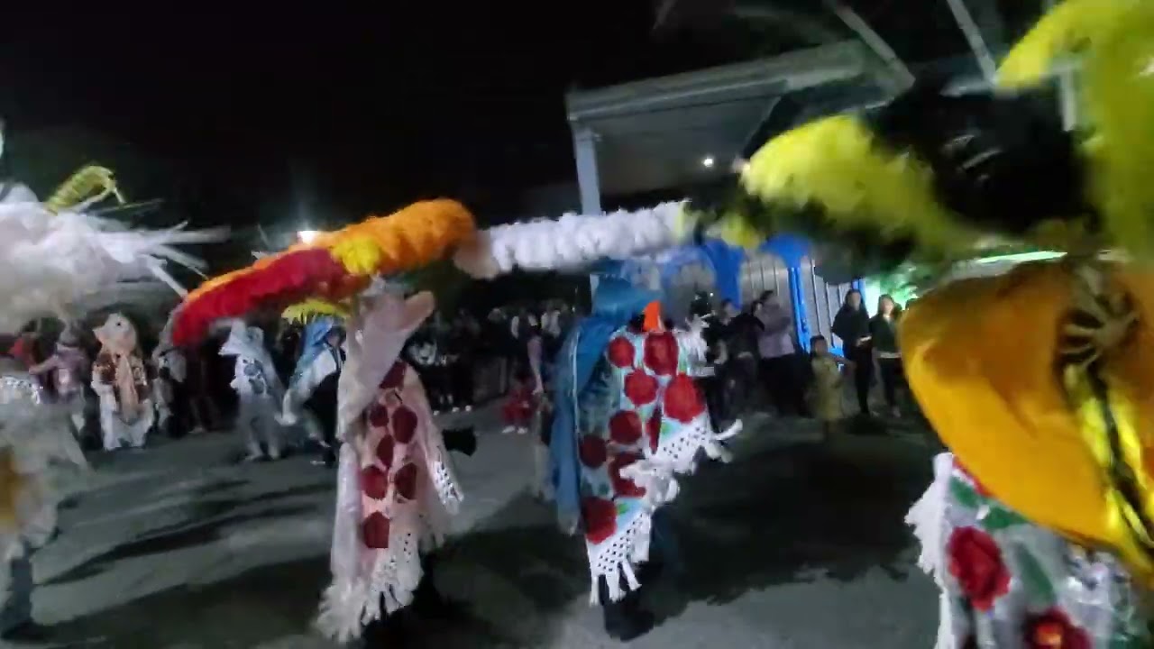 Carnaval San lorenzo almecatla 2026