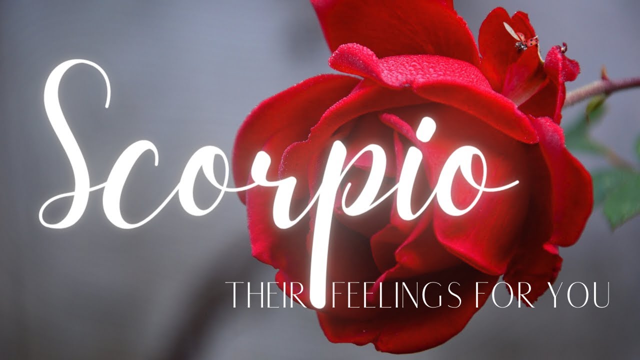 SCORPIO LOVE READING TODAY - ONE THING IS CLEAR, IT'S TIME TO TALK!!!