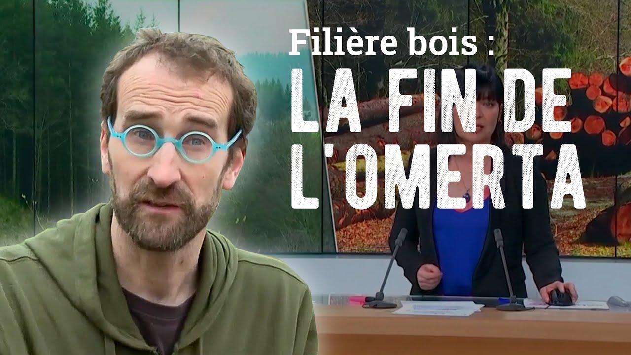 La filière bois doit cesser son omerta sur la gestion forestière !