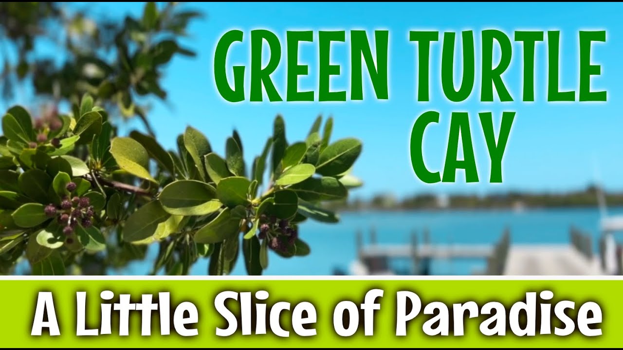 Green Turtle Cay