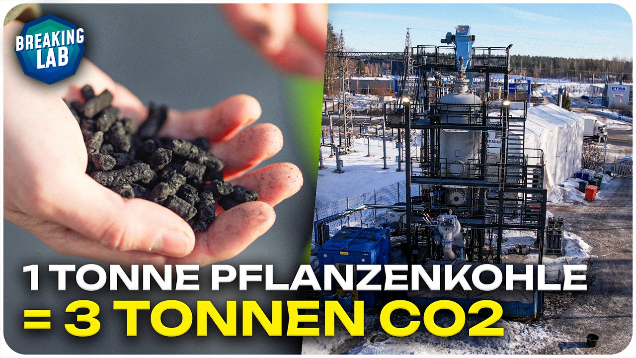 Carbo Culture: Gamechanger bei der CO2-Nutzung