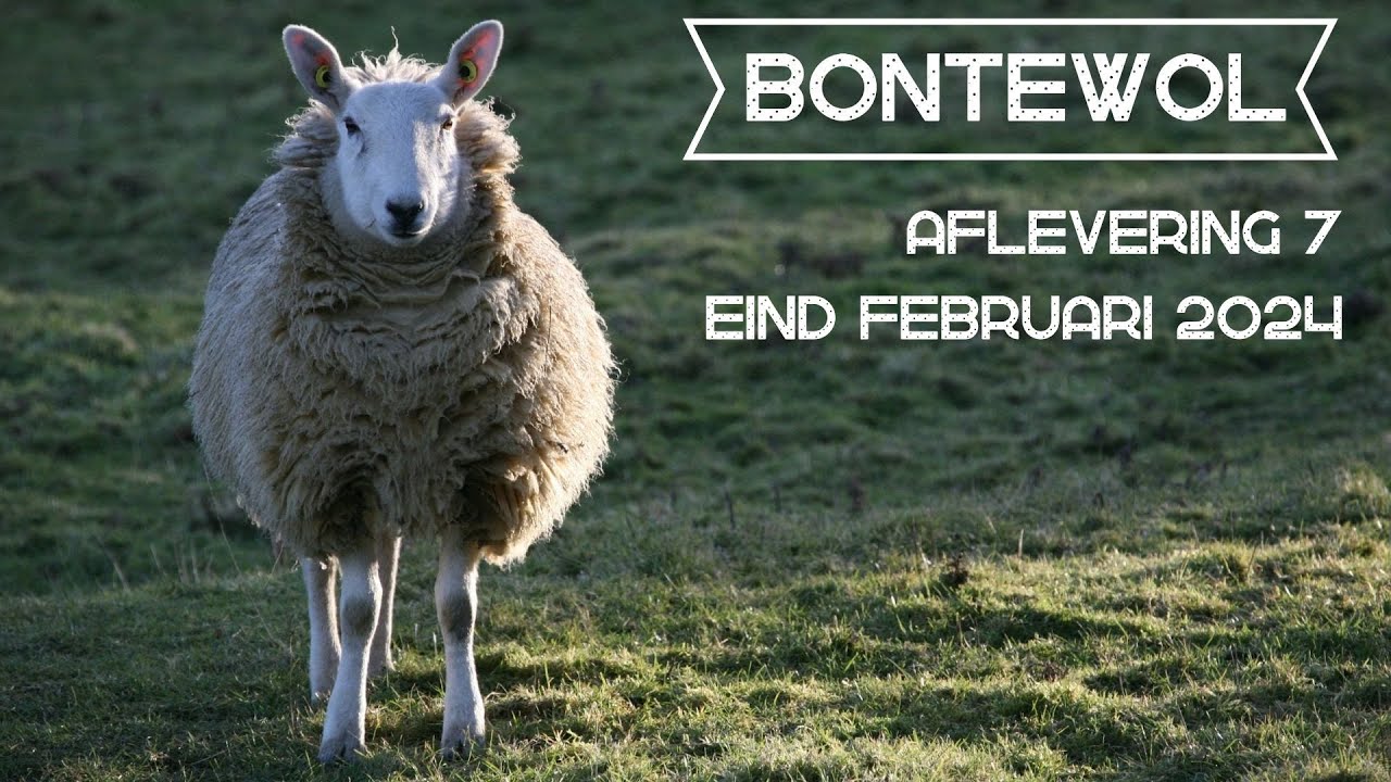 Bontewol, aflevering 7 (eind februari 2024)