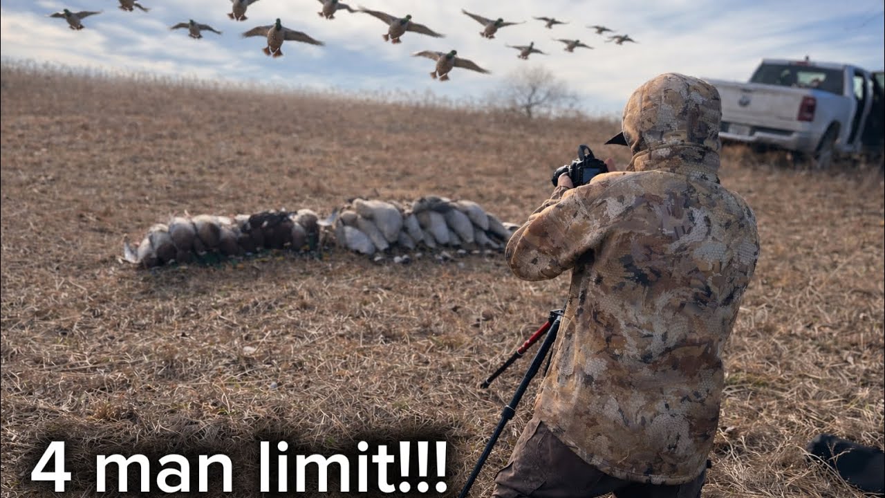DUCKS EVERYWHERE!! 4 guys 2 guns 36 birds!!! 4 man of mallards!!! 