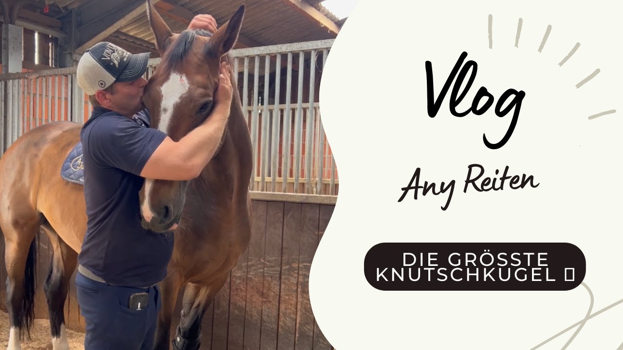 Eine Runde Any reiten und kuscheln 😍