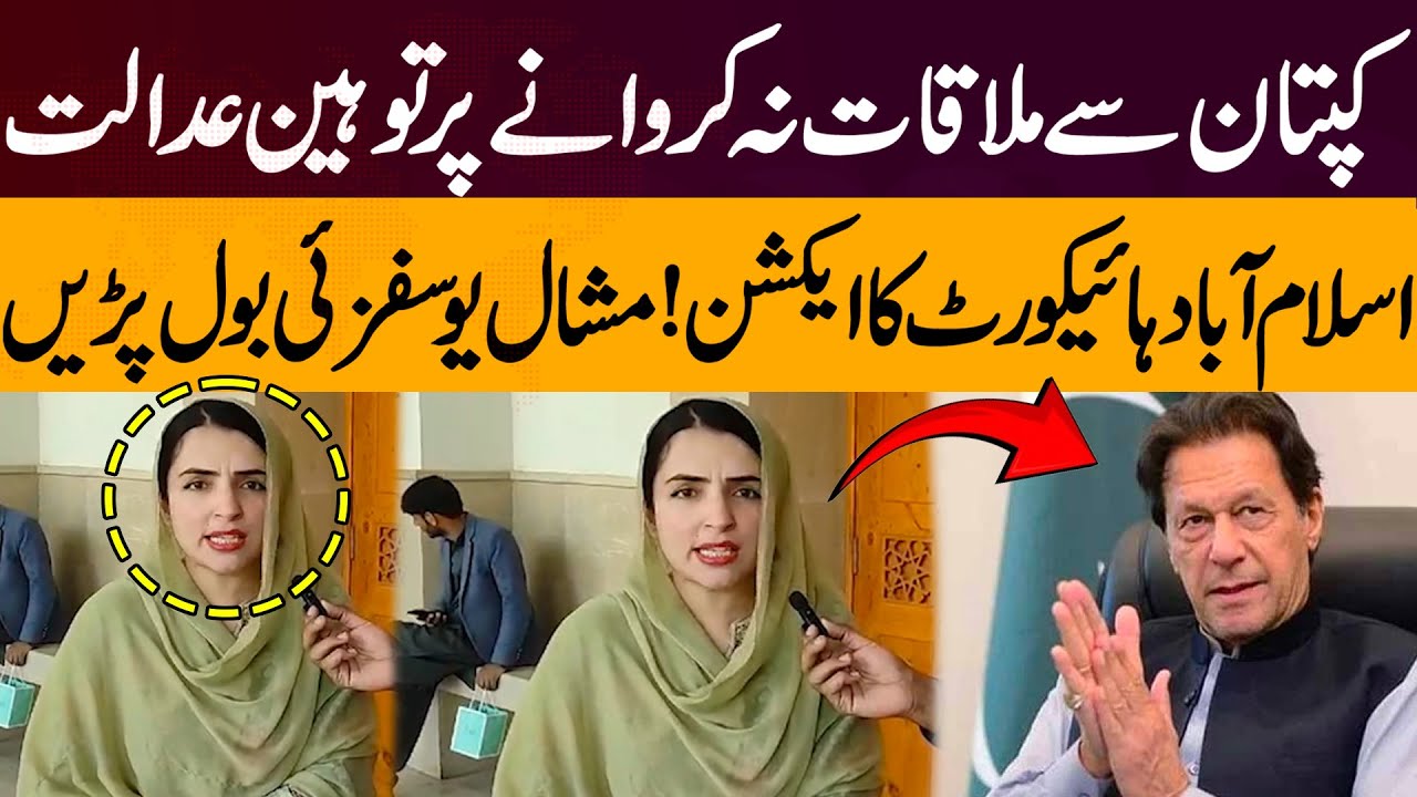 Contempt Of Court Against Govt ? | Mashal Yousafzai Exclusive Talk | Pakistan News | Breaking News