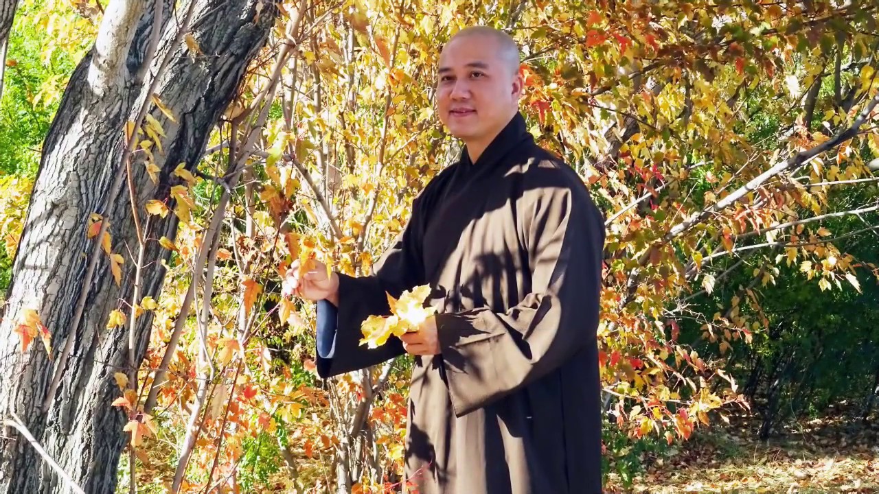 What Can We Give? - Thay. Thich Phap Hoa (Sept.9, 2016)