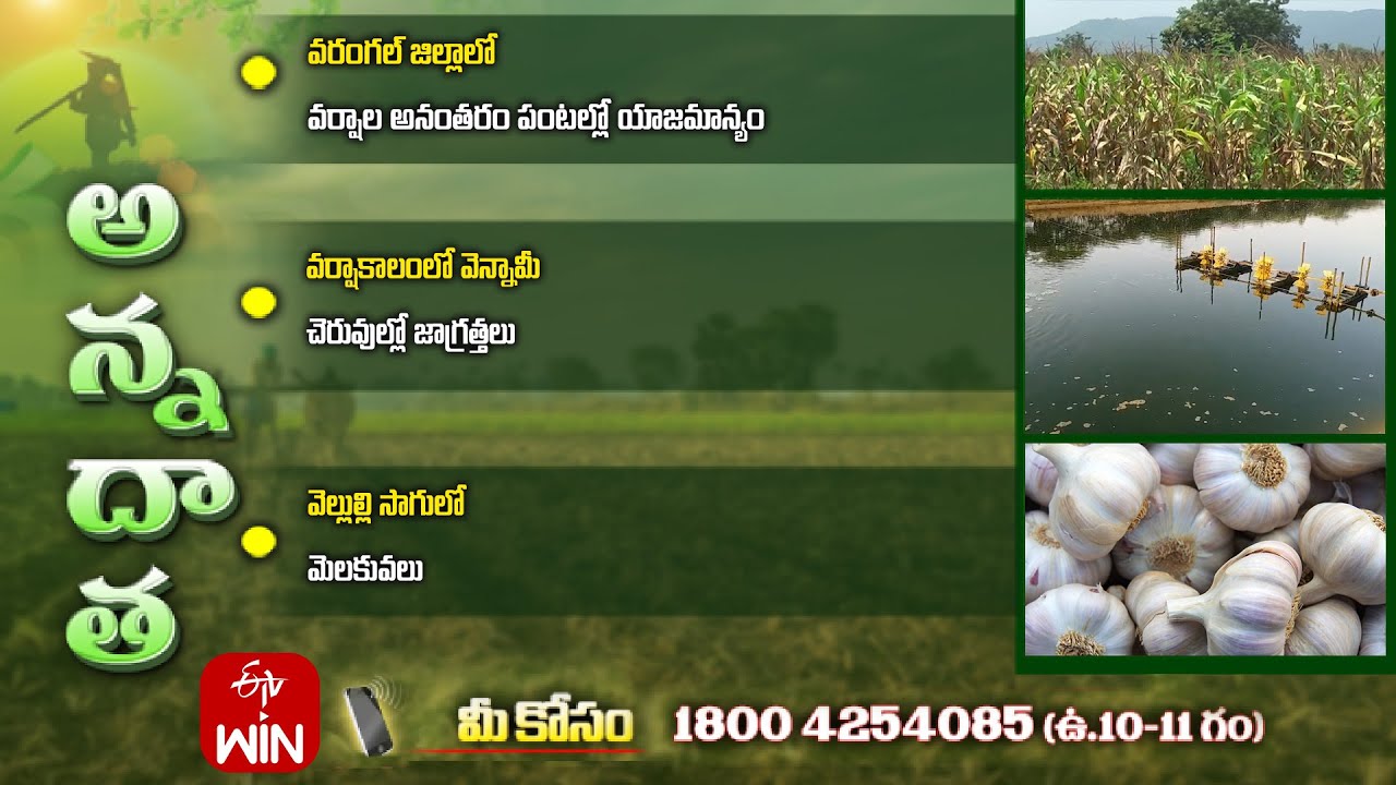 6th September 2025 | Annadata | అన్నదాత | Full Episode | ETV Telugu
