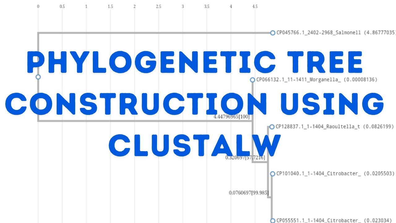 Phylogenetic tree construction using CLUSTALW
