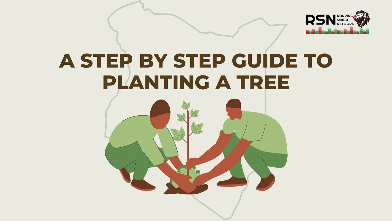 Guide to Planting Trees - A PSA for National Tree Planting Day