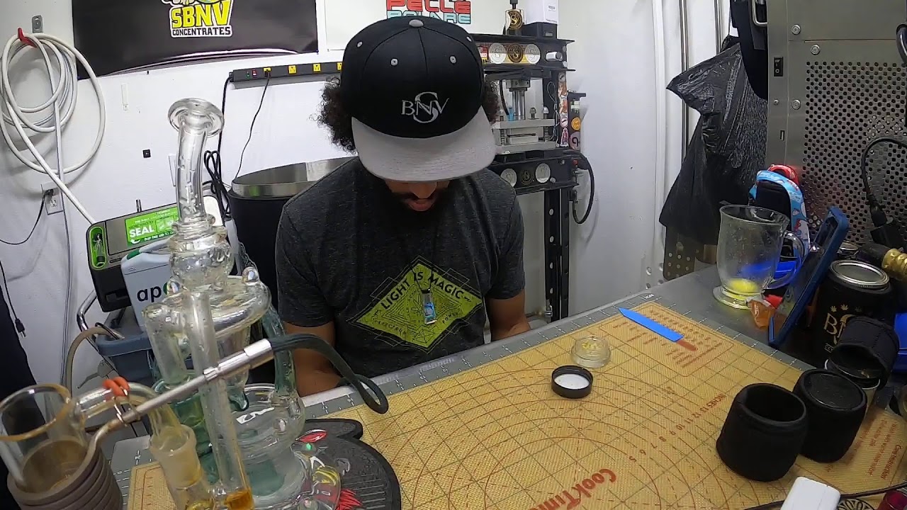 The Daily Dab