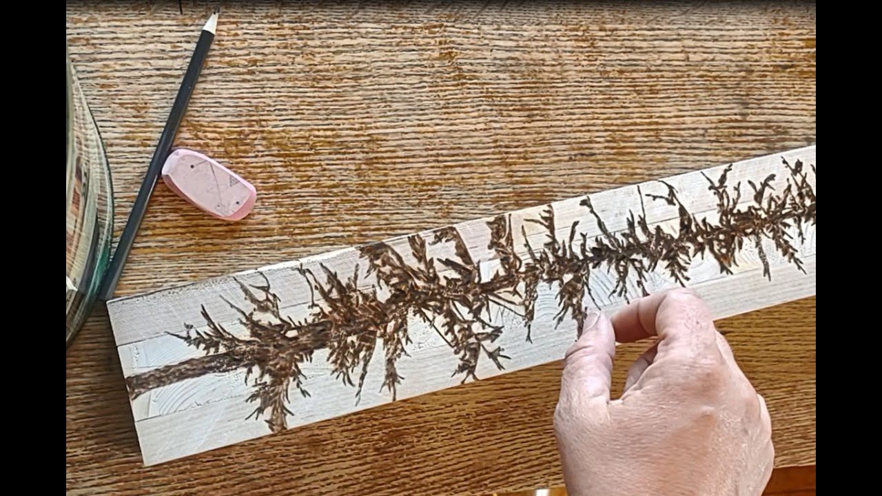 How to wood burn a spruce tree