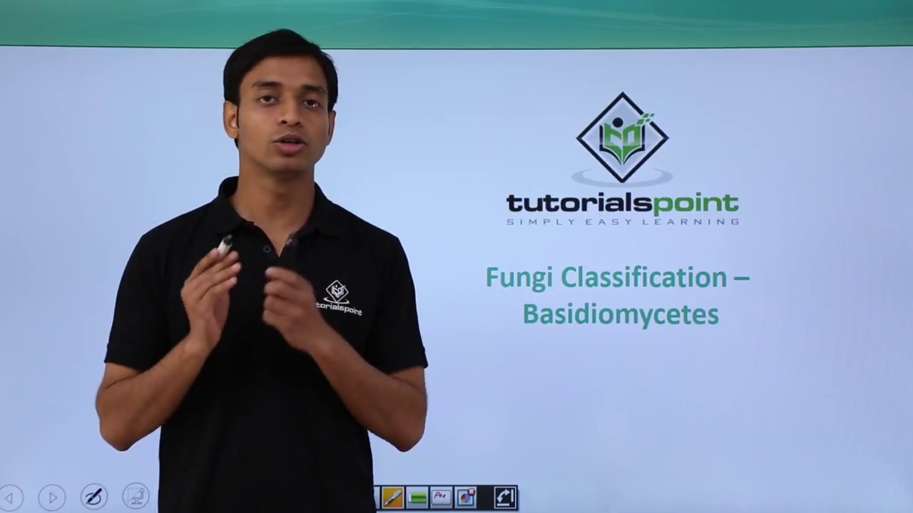 Class 11th &ndash; Fungi Classification &ndash; Basidiomycetes | Biological Classification | Tutorials Point