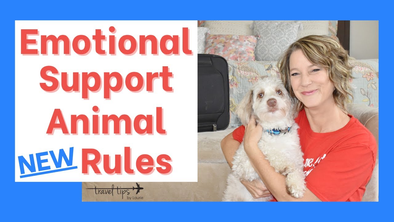 Emotional Support Animal Rule Changes  (On Airplanes)