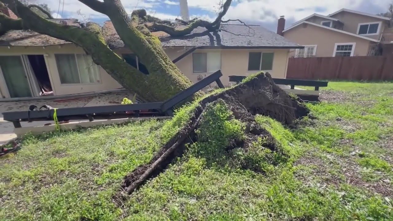 Tuesday's storm brings tree down on Marin County home