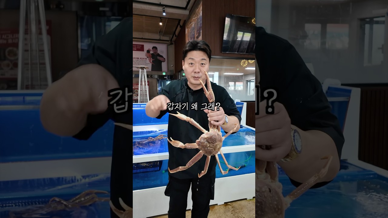 마가단 대게 진짜 이래도 되는건가요!