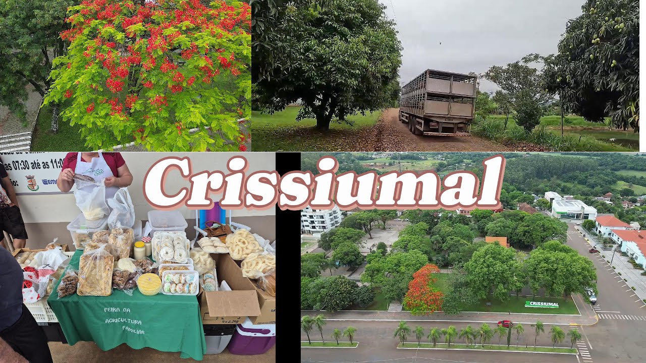 Crissiumal  - RS