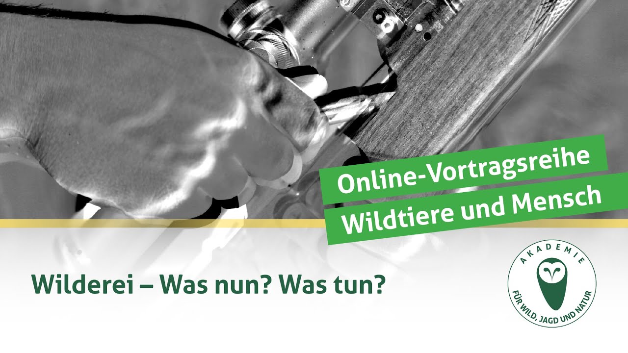 DJV-Online-Akademie | Wilderei – Was nun? Was tun?