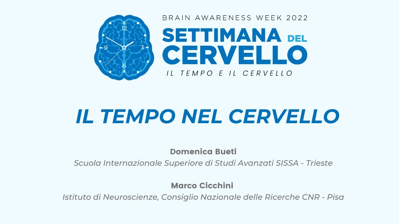 IL TEMPO NEL CERVELLO