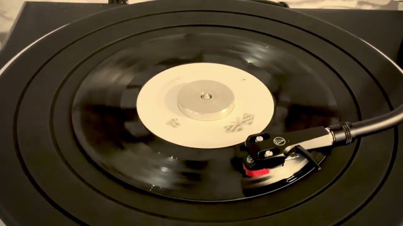 FLAKE MUSIC (aka. The Shins) | Loncie (aka. Deluca) [vinyl audio]