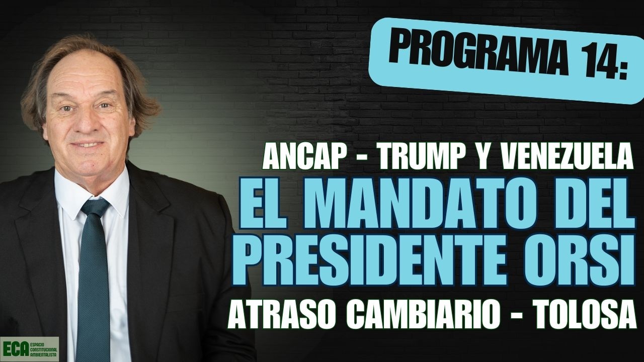 PROGRAMA 14 - 03.02.2026